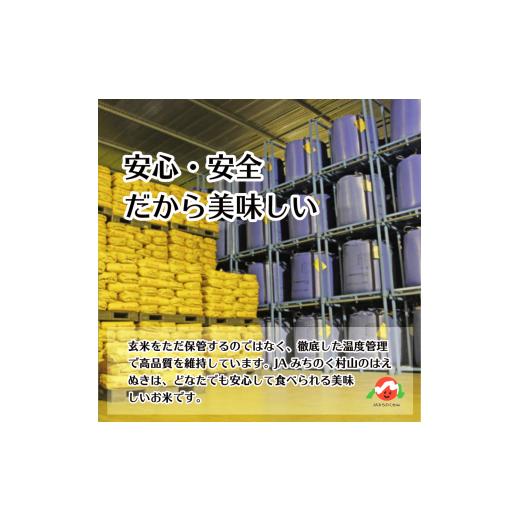 ふるさと納税 米 はえぬき 山形県 村山市  先行予約 新米 米 はえぬき 毎月定期便 10kg×3回 精米 令和8年産 2026年12月中旬〜 ja-haxxb10-sm12to2b 2026年12…_3