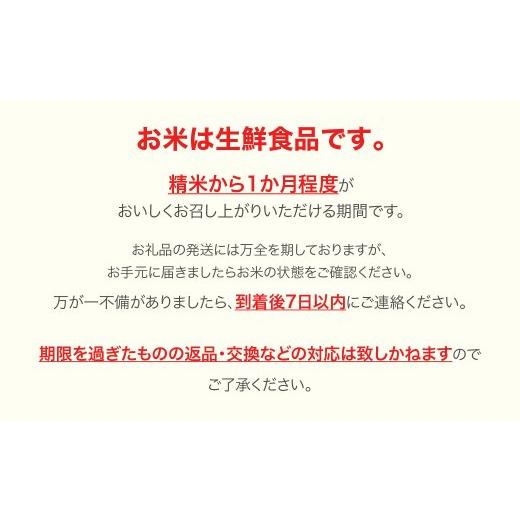 ふるさと納税 米 はえぬき 山形県 村山市  先行予約 新米 米 はえぬき 毎月定期便 10kg×3回 精米 令和8年産 2027年1月下旬〜 ja-haxxb10-sm1to3c 2027年1月下…_4