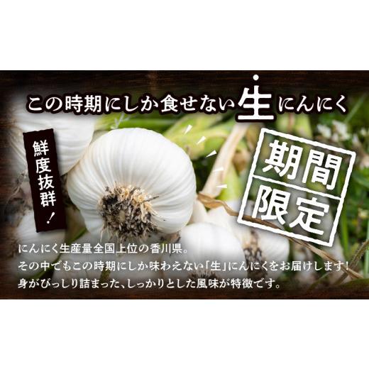 ふるさと納税 香川県 高松市 加工用 訳あり 生にんにく 約2kg【2024年5月上旬〜2024年6月上旬配送】｜furusatochoice｜03