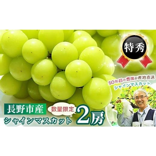 ふるさと納税 ぶどう マスカット 長野県 長野市 J0567長野市産シャインマスカット 特秀 2房 2025年9月中旬以降出荷分 (タマファーム)
