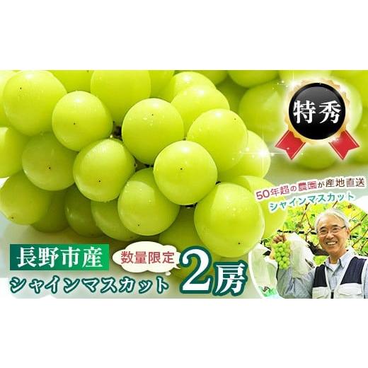 ふるさと納税 長野県 長野市 J0567長野市産シャインマスカット[特秀]2房[2024年9月中旬以降出荷分](タマファーム)