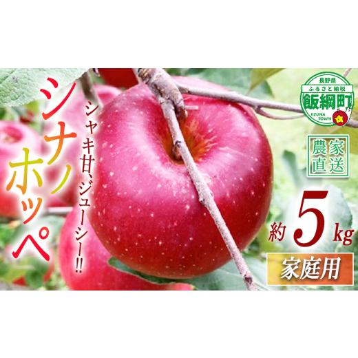 ふるさと納税 りんご 長野県 飯綱町 りんご シナノホッペ 家庭用 5kg ファームトヤ 沖縄県への配送不可 2026年11月上旬頃から2026年11月下旬頃まで順次発送予…