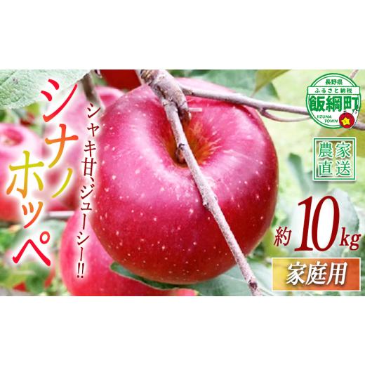ふるさと納税 りんご 長野県 飯綱町 りんご シナノホッペ 家庭用 10kg ファームトヤ 2026年11月上旬頃から2026年11月下旬頃まで順次発送予定 令和8年度収穫分 …