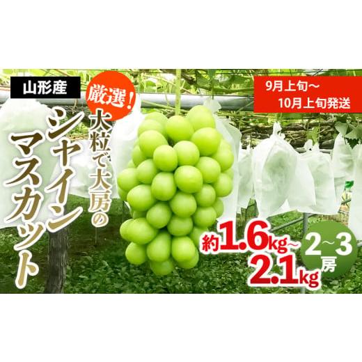 ふるさと納税 ぶどう マスカット 山形県 山形市 厳選 大粒で大房のシャインマスカット 秀品 2〜3房入り(約1.6kg〜2.1kg) 前半 令和8年産先行予約 FS24-605 …