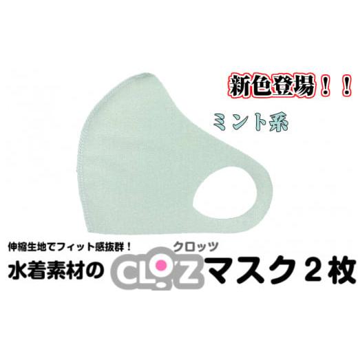 ふるさと納税 雑貨・日用品 大分県 国東市 クロッツマスク2枚(ミント系)/Lサイズ_1676R-02 クロッツマスク2枚(ミント系)/Lサイズ