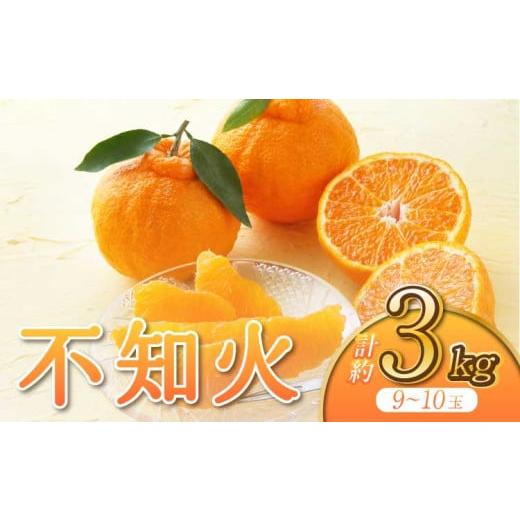 ふるさと納税 みかん・柑橘類 熊本県 宇城市 先行予約 宇城市産 不知火 約3kg うちやま果樹園 2026年3月上旬から6月下旬発送予定