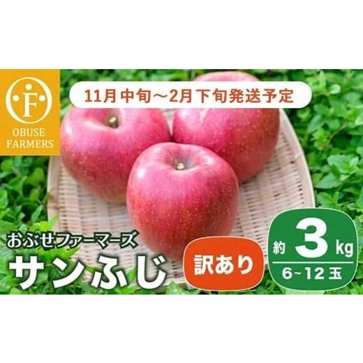 ふるさと納税 りんご 長野県 小布施町 訳あり サンふじ 約3kg 6〜12玉[おぶせファーマーズ] 不揃い 規格外 家庭用 りんご 林檎 リンゴ 果物 フルーツ ふじ …