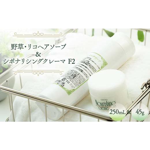 ふるさと納税 岐阜県 坂祝町 野草・リコヘアソープ 250ml & シポナリシングクレーマ F2 45g ノンシリコン シャンプー トリートメント F6M-043