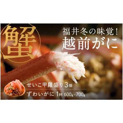 ふるさと納税 カニ ずわいガニ 福井県 鯖江市 特別価格期間延長 選べる個数 産地直送 福井冬の味覚 越前がに(ずわいがに1杯)600〜700g & せいこ甲羅盛り3…