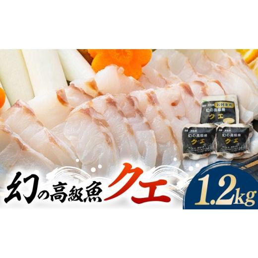 ふるさと納税 旬の鮮魚等 長崎県 対馬市 2026年10月より順次発送 迷ったらコレ 対馬産 幻の高級魚 クエ 1.2kg[対馬市] 保家商事 くえ 高級魚 アラ 魚 クエ …