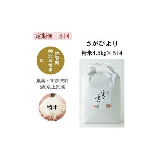 ふるさと納税 米 さがびより 佐賀県 佐賀市 定期便5回 「実り咲かす」特別栽培 さがびより 精米 4.5kg(計22.5kg):B800-008