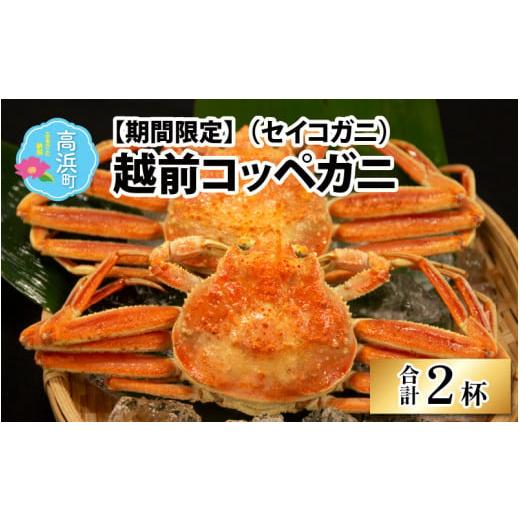 ふるさと納税 カニ 福井県 高浜町 先行予約 数量・期間限定 福井県産 越前コッペガニ(セイコガニ)×2杯 急速冷凍 (プロトン凍結) 11月中旬より順次発送 …