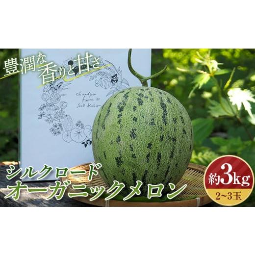 ふるさと納税 福島県 西会津町 身体に美味しい農産物コンテスト「最優秀賞」受賞![先行予約]シルクロードオーガニックメロン 約3kg(2〜3玉入)