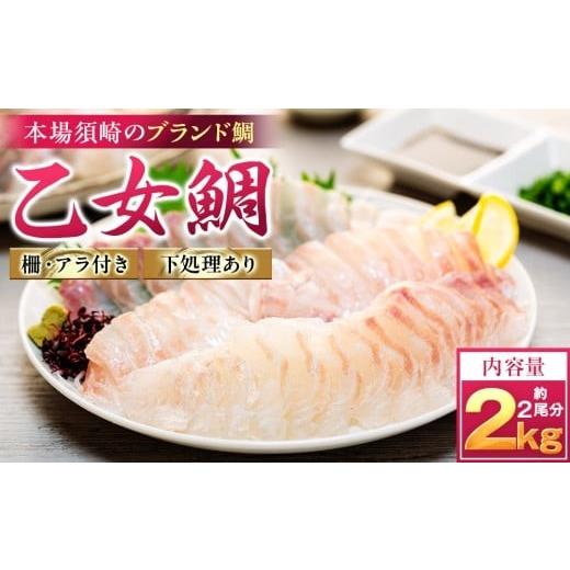 ふるさと納税 魚貝類 鯛 高知県 須崎市 真鯛 刺身 用 柵 アラ付き 2尾 セット 2kg 本場須崎のブランド 鯛 乙女鯛 新鮮 冷蔵 刺身 お刺し身 タイ 鯛 高級魚 鮮…_1