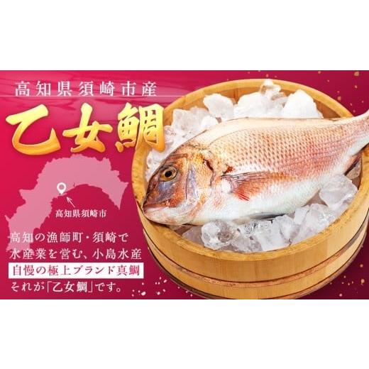 ふるさと納税 魚貝類 鯛 高知県 須崎市 真鯛 刺身 用 柵 アラ付き 2尾 セット 2kg 本場須崎のブランド 鯛 乙女鯛 新鮮 冷蔵 刺身 お刺し身 タイ 鯛 高級魚 鮮…_2