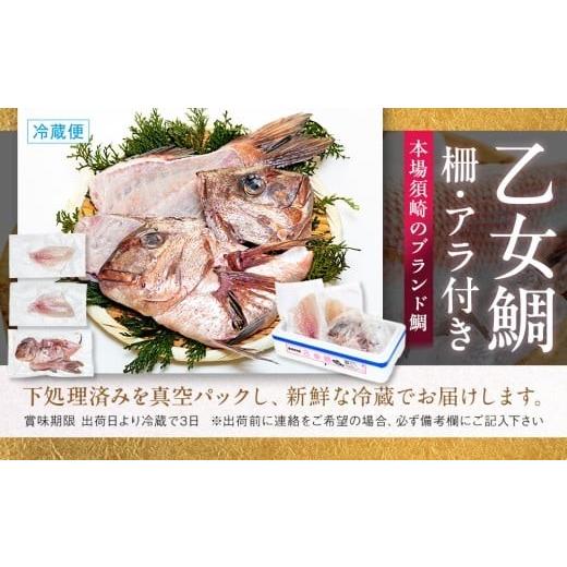 ふるさと納税 魚貝類 鯛 高知県 須崎市 真鯛 刺身 用 柵 アラ付き 2尾 セット 2kg 本場須崎のブランド 鯛 乙女鯛 新鮮 冷蔵 刺身 お刺し身 タイ 鯛 高級魚 鮮…_8