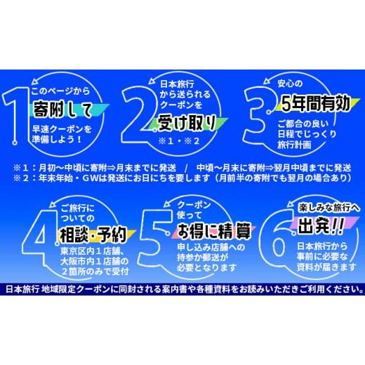 【アウトレット品】 ふるさと納税 北海道 壮瞥町 [No.5724-0390]日本旅行　地域限定旅行クーポン【90，000円分】 【XUR3321924363】(117000円)