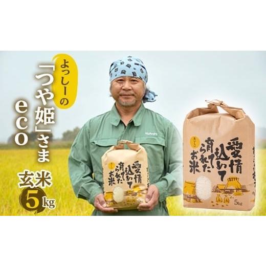 ふるさと納税 米 つや姫 山形県 新庄市 先行予約 令和7年産 よっしーの「つや姫」さまeco (玄米)5kg 米 お米 おこめ 山形県 新庄市 F3S-2495 玄米
