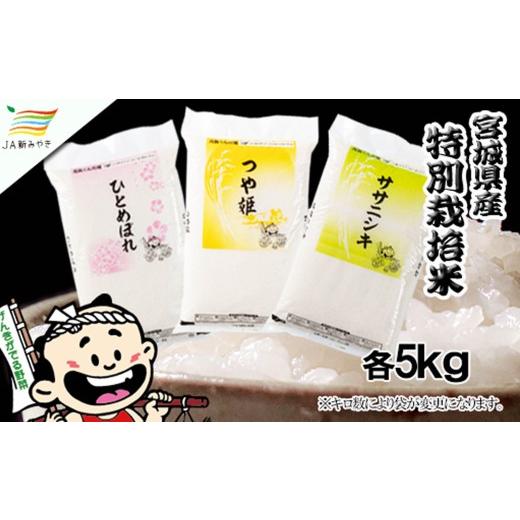 ふるさと納税 米 宮城県 美里町 元気くん市場 宮城の美味しいお米贅沢3種食べ比べセット(1) / 精米 小分け 人気 ランキング お米 米 つや姫