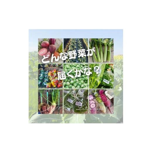 ふるさと納税 セット・詰合せ 埼玉県 伊奈町 Vegetable boys Company