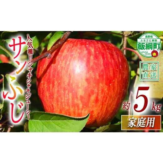 ふるさと納税 りんご 長野県 飯綱町 りんご サンふじ 家庭用 5kg マルカズりんご農園 沖縄県への配送不可 2026年11月下旬頃から2026年12月下旬頃まで順次発送…