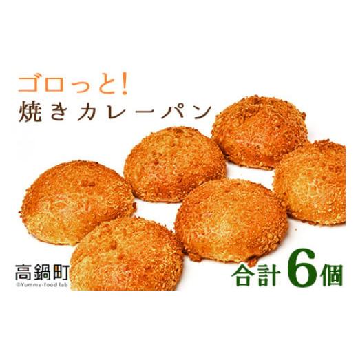 ふるさと納税 パン 菓子パン 宮崎県 高鍋町 ゴロっと 焼きカレーパン 6個 翌月末迄に順次出荷