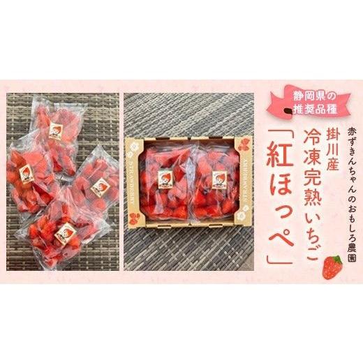 ふるさと納税 いちご 静岡県 掛川市 紅ほっぺ 冷凍いちご500g×4袋 計2kg 1732414