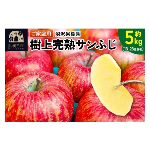 ふるさと納税 りんご 秋田県 横手市 先行受付 12月上旬より発送 樹上完熟サンふじ ご家庭用 約5kg(13〜23玉前後) 先行予約 サンふじ サンフジ 林檎 リンゴ …