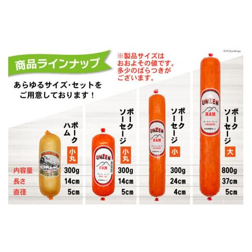 ふるさと納税 肉 ハム 長崎県 島原市 ED193 雲仙ハム ソーセージ大 800g&times;2本 絶品 人気 ウインナー ソーセージ おつまみ ギフト 肉 お弁当 おかず 小分け 便&hellip;
