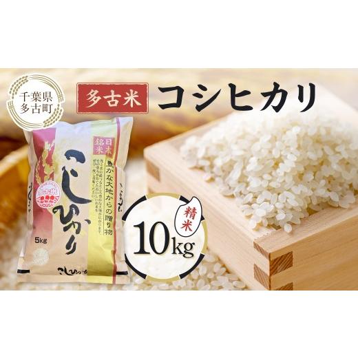 ふるさと納税 米 コシヒカリ 千葉県 多古町 多古米コシヒカリ 精米 10kg