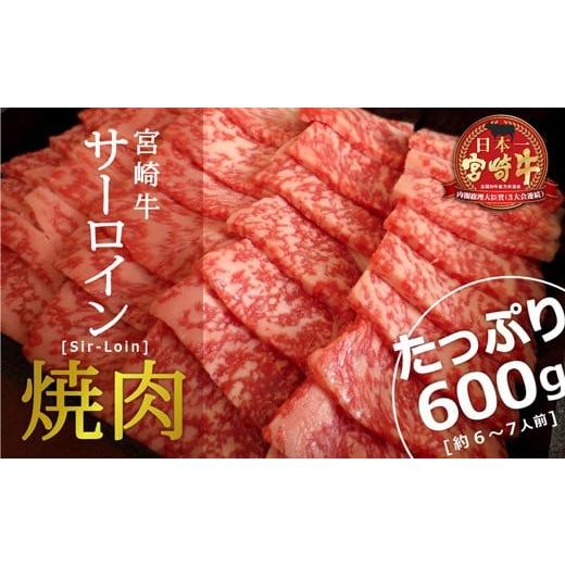 ふるさと納税 宮崎県 新富町 [宮崎牛]サーロイン焼肉 600g[E120]