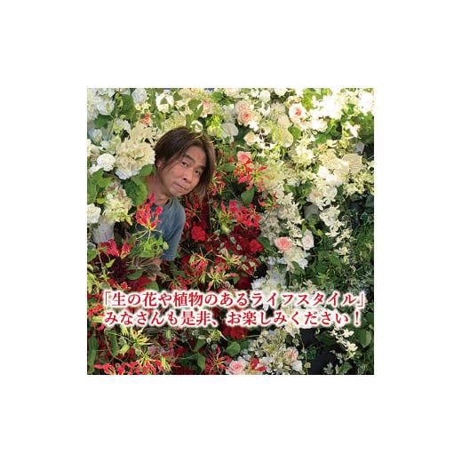ふるさと納税 花・苗木 花束 山形県 酒田市 12本のバラの花束 SL0205の画像