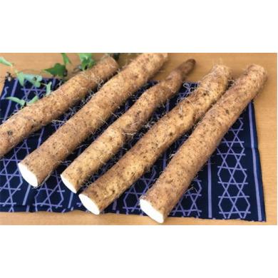 ふるさと納税 人参・大根・他根菜 山口県 周南市 自宅用 よくばり自然薯セット