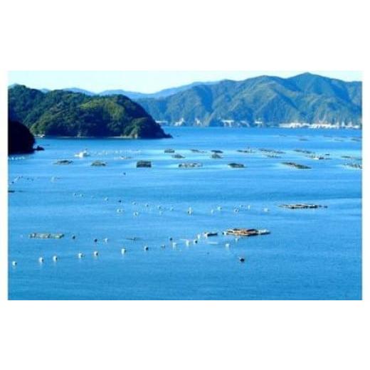 ふるさと納税 高知県 須崎市 特別純米酒 「酔鯨」・純米酒 「須崎」 各1.8L 2本セット TH0611 酔鯨 須崎 ：1