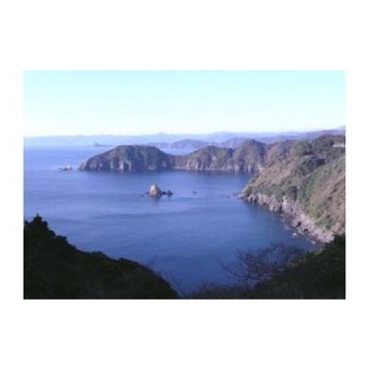 ふるさと納税 高知県 須崎市 特別純米酒 「酔鯨」・純米酒 「須崎」 各1.8L 2本セット TH0611 酔鯨 須崎 ：1