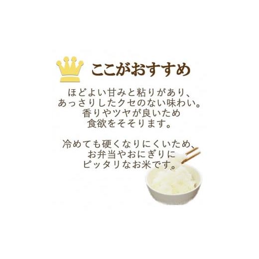 ふるさと納税 愛知県 碧南市 愛知県産あいちのかおり 5kg ※6回定期便　安心安全なヤマトライス　H074-536｜furusatochoice｜04