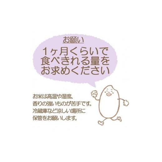 ふるさと納税 愛知県 碧南市 愛知県産あいちのかおり 5kg ※6回定期便　安心安全なヤマトライス　H074-536｜furusatochoice｜07