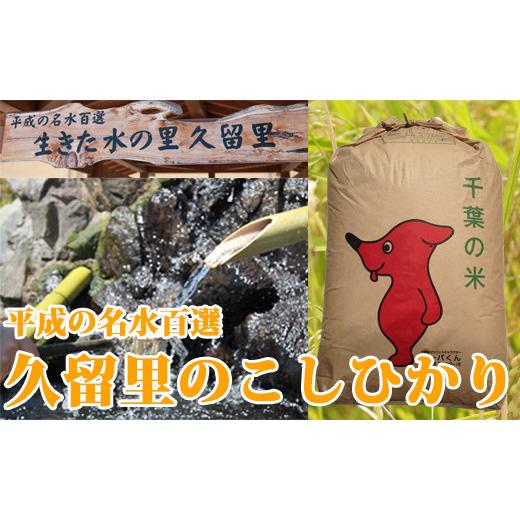 ふるさと納税 千葉県 君津市 【令和5年産】名水の米 久留里のコシヒカリ10kg（玄米） くるりのお米屋 名水の米久留里のコシヒカリ10kg（玄米）｜furusatochoice｜02