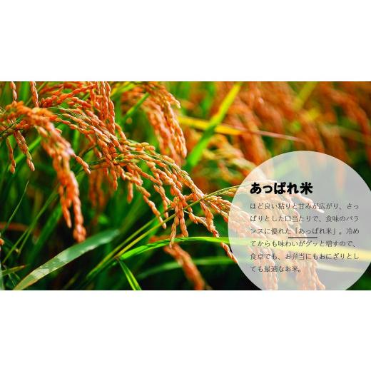 【早い者勝ち】 ふるさと納税 北海道 津別町 お米定期便　北海道産　あっぱれ米　5kg×12回　今井農場／080-03033-b12E 【UOI8858455725】(31200円)