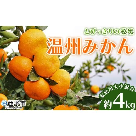 ふるさと納税 果物類 みかん 愛媛県 西予市 とびっきりの愛媛 温州みかん 約4kg(家庭用大小混合) 訳あり 家庭用 果物 柑橘 フルーツ 蜜柑 うんしゅうみかん…