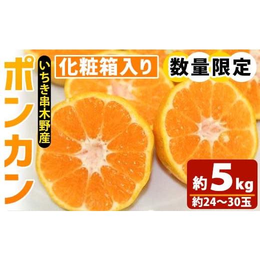 ふるさと納税 果物類 みかん 鹿児島県 いちき串木野市 先行予約 ＼数量・期間限定/池之上果樹園 の 旬 の ポンカン 化粧箱入り 約5kg(約24〜30玉)〜2025年…