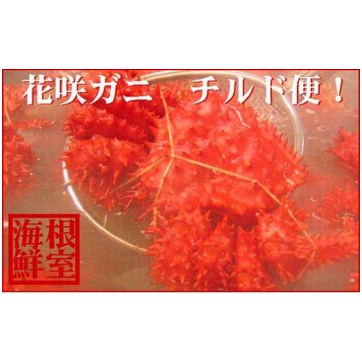 ふるさと納税 カニ 花咲ガニ 北海道 根室市 B-57020 花咲がに800g前後×1尾(チルド便)