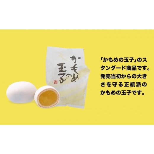 夏季限定】 プレミアムかもめの玉子 (6個入) かめもの玉子 季節限定 