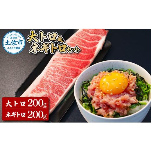 ふるさと納税 マグロ 高知県 土佐市 本鮪 大トロ・ネギトロ各200g ねぎとろ マグロ まぐろ 大とろ 本まぐろ 天然 刺身 刺し身 魚 海鮮 魚介 海鮮丼 ネギトロ丼…