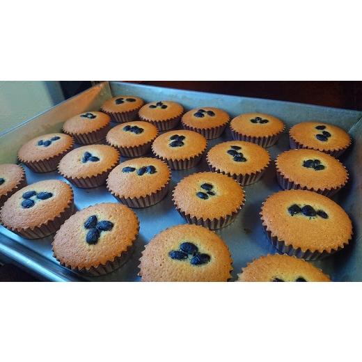 ふるさと納税 奈良県 三郷町 ケーキ工房菜の花 無添加 信貴山寅クッキーと焼菓子(大) 