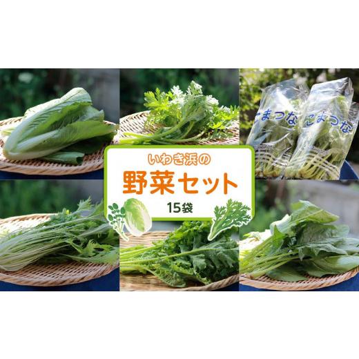 ふるさと納税 セット・詰合せ 福島県 いわき市 いわき浜の野菜セット（いわき市産の野菜詰め合わせセット）_1