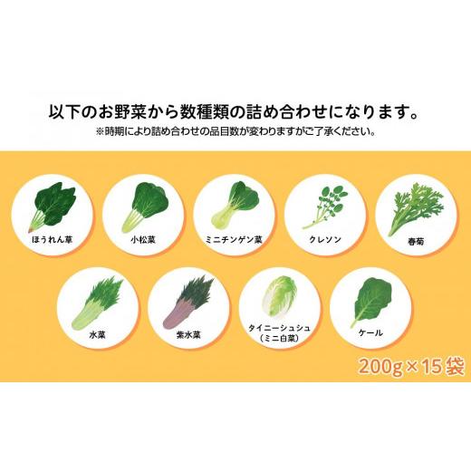 ふるさと納税 セット・詰合せ 福島県 いわき市 いわき浜の野菜セット（いわき市産の野菜詰め合わせセット）_2
