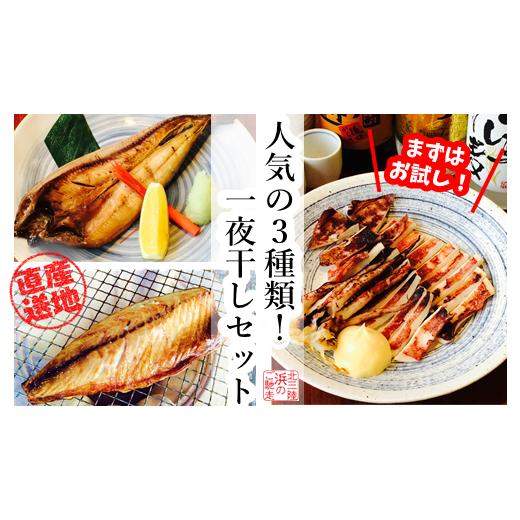 ふるさと納税 干物 イカ 岩手県 久慈市 健康干物 潮騒の一夜干し まずはお試し 人気の3種類 一夜干しセット 潮騒の一夜干し「人気の3種セット」