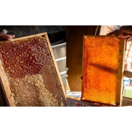 ふるさと納税 加工品等 はちみつ 岩手県 一関市  国産 はちみつ 岩手の純粋 蜂蜜 600g×2本セット（アカシア \u0026 秋百花）の画像