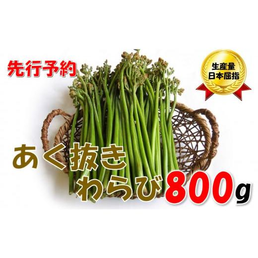 ふるさと納税 野菜類 山菜 山形県 小国町 先行予約・数量限定 採れたて山菜 あく抜きわらび 200g×4束(R8.5月〜)